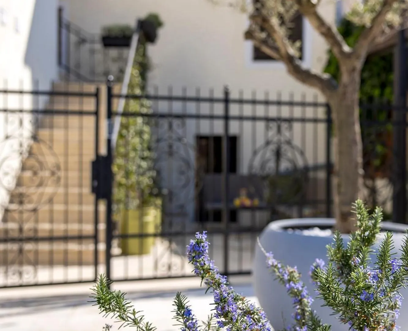 The House Hotel Malinska
